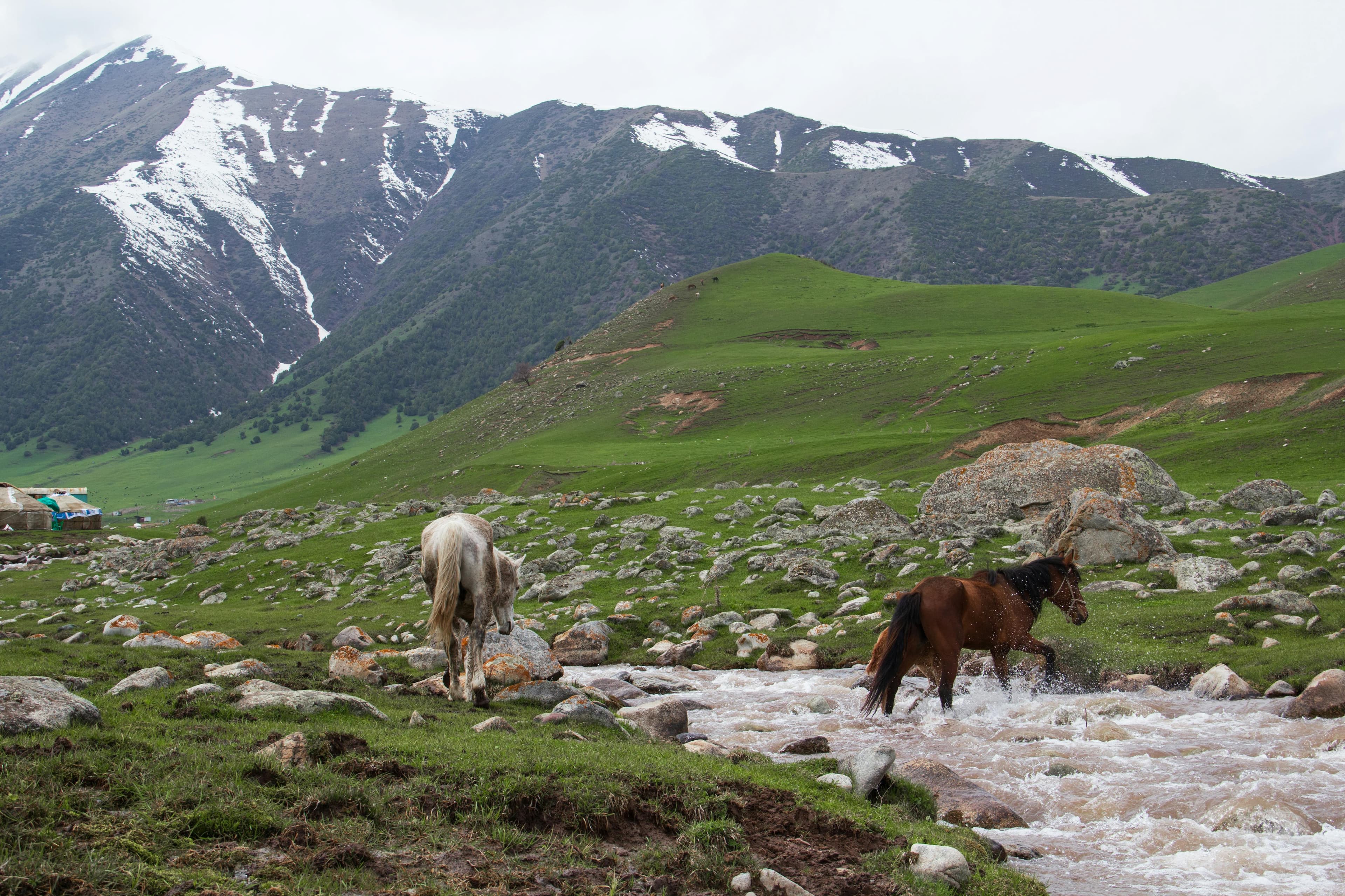Kirghizistan